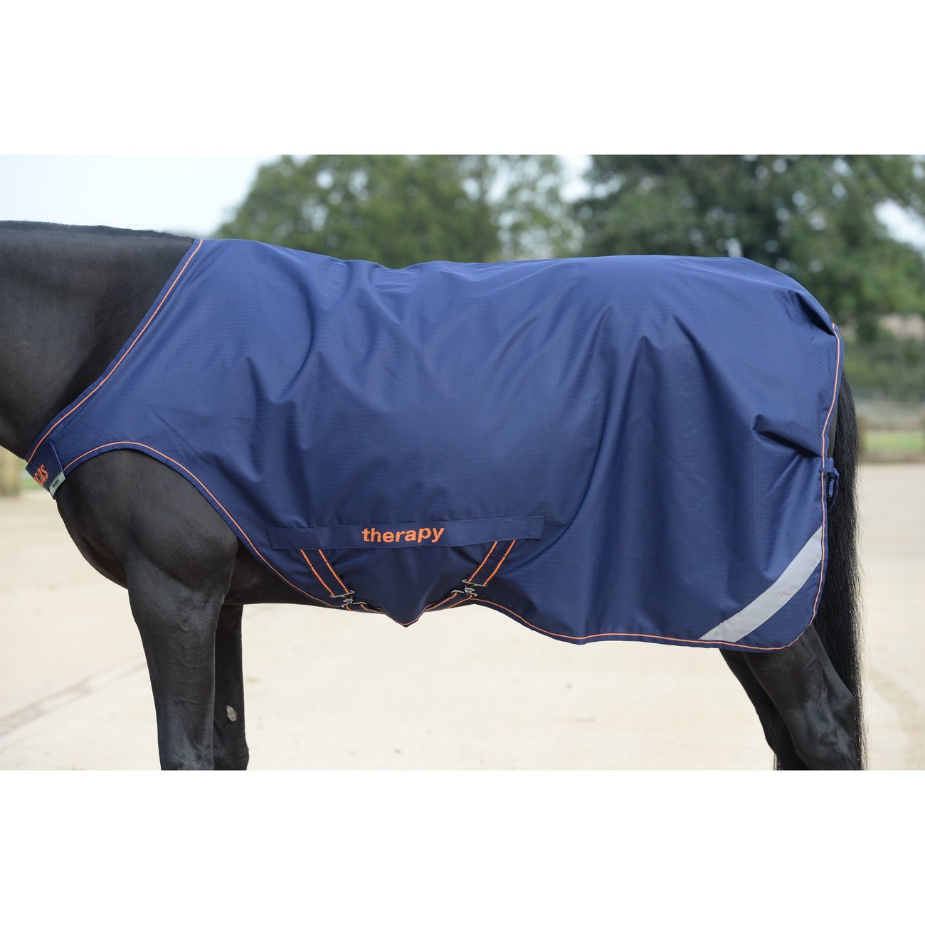 bucas-therapy-walker-fuehrdecke-1617173578