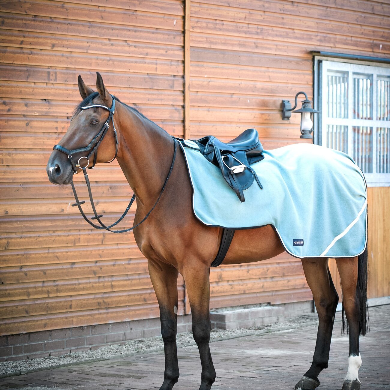 busse-ausreitdecke-fleecetrainer-1637056216