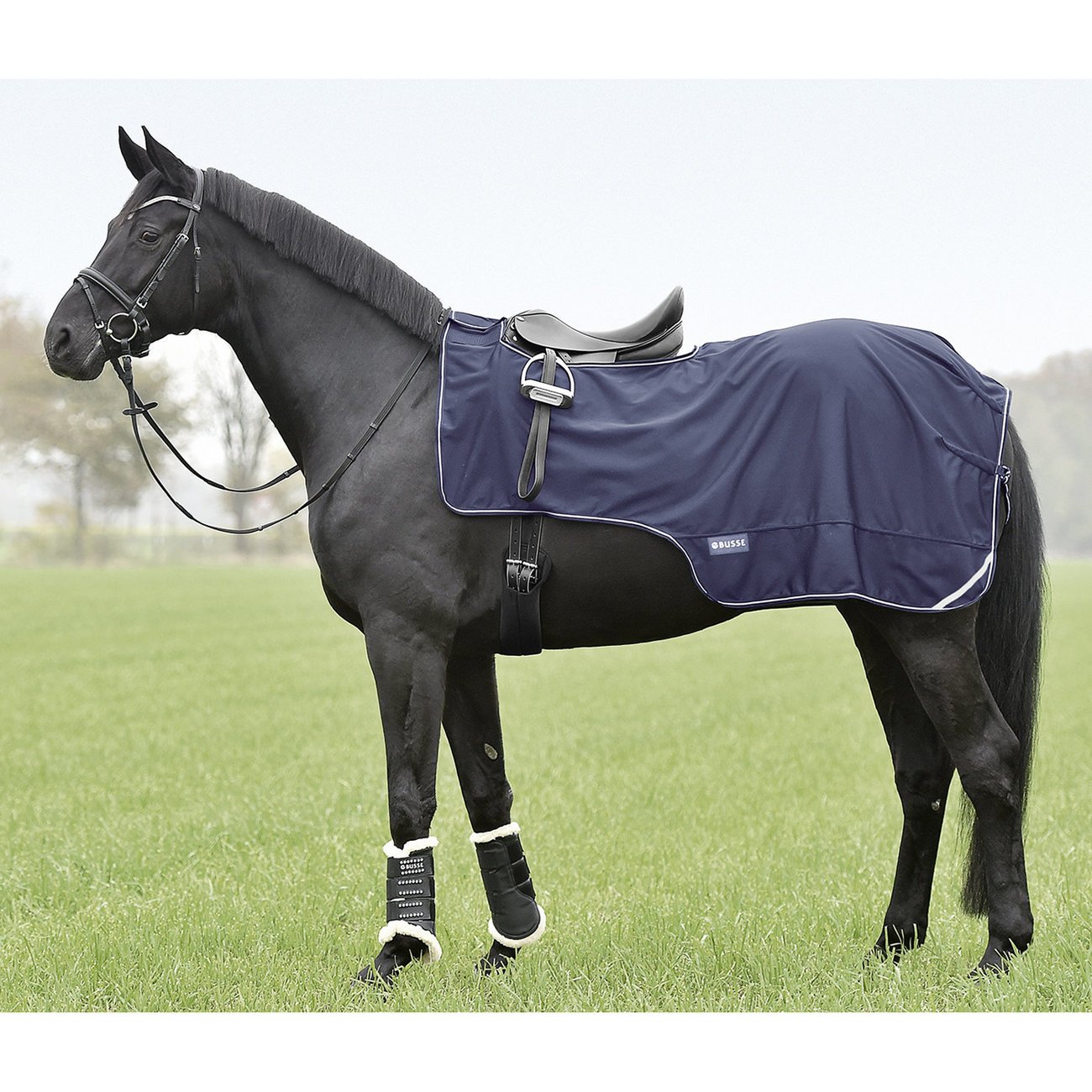 busse-ausreitdecke-softshell-1574241947