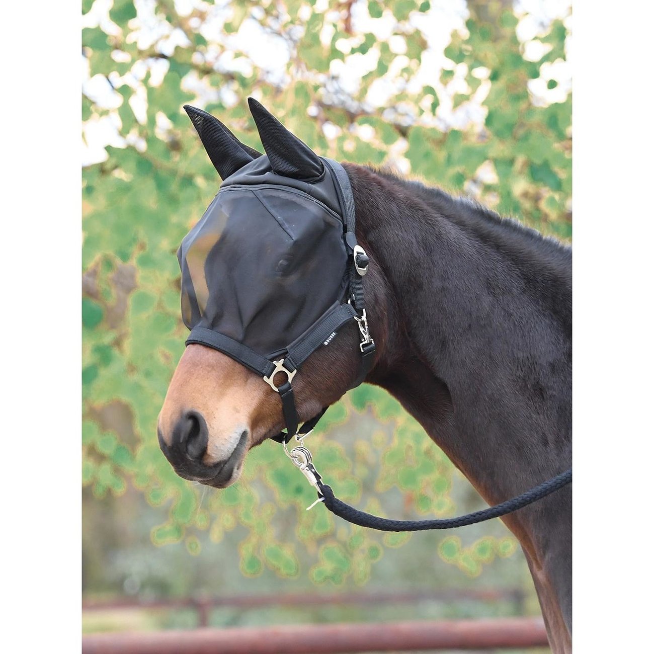 busse-fliegenhalfter-fast-1584956117
