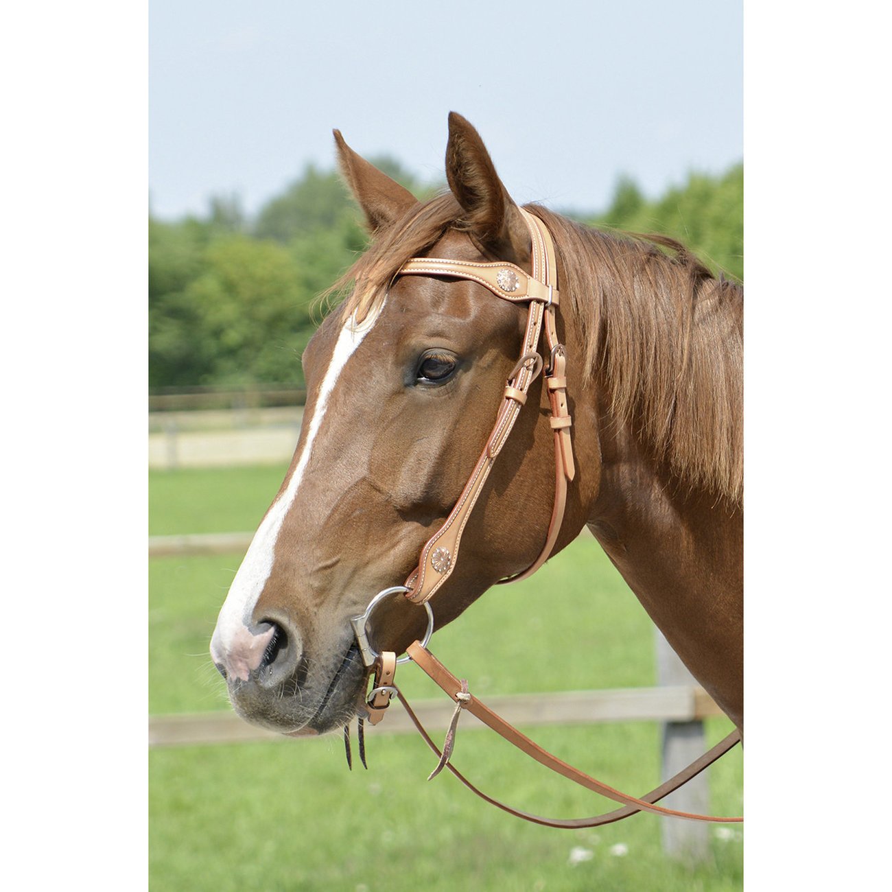 busse-kopfstueck-aspy-western-1581330291