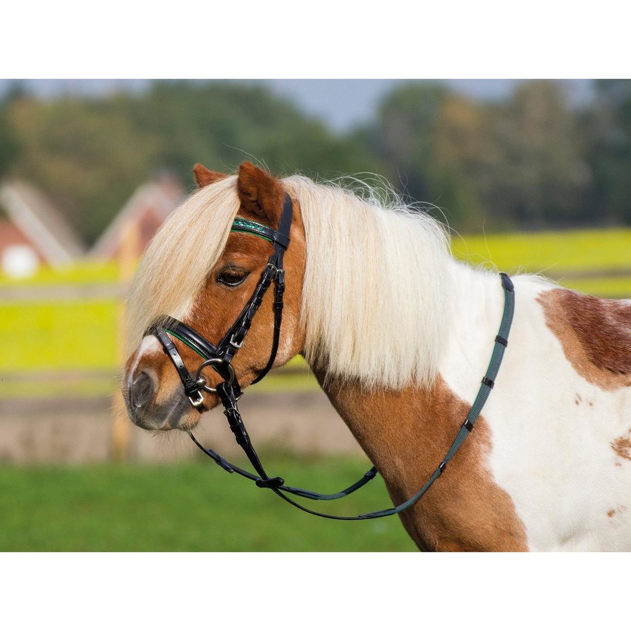 busse-sonny-trense-1585730905
