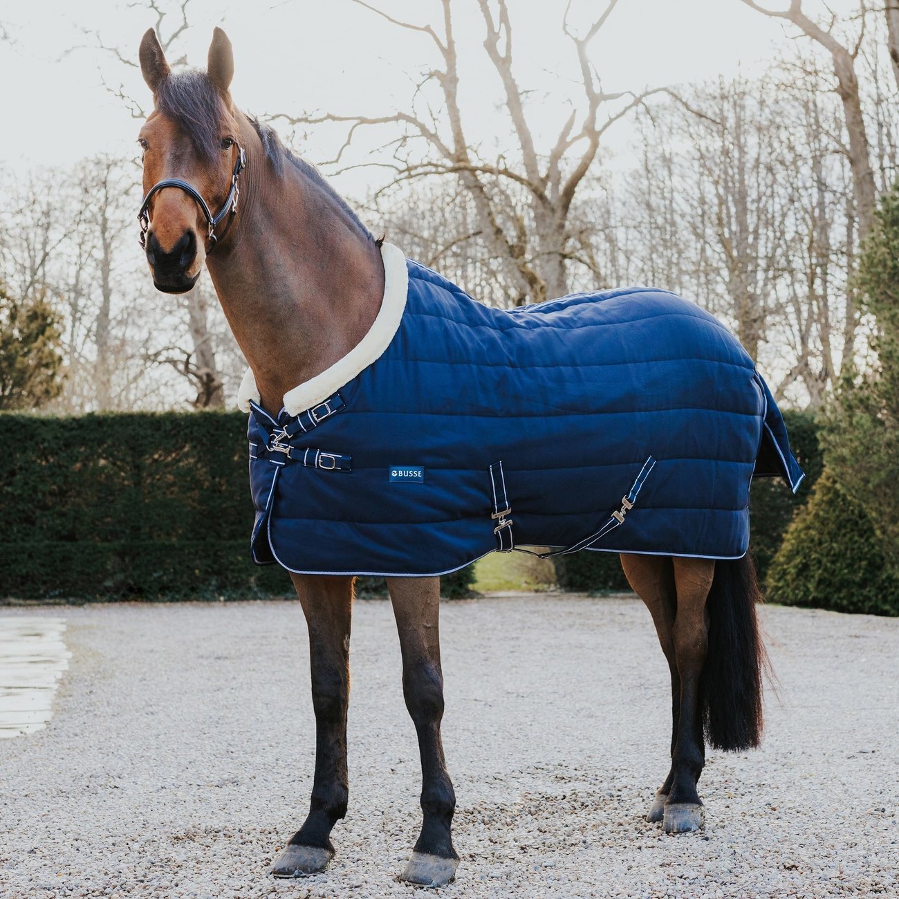 busse-winter-stalldecke-polaris-1636460170