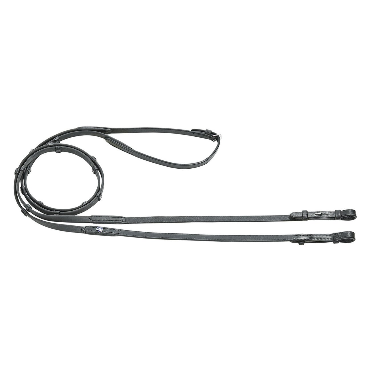 busse-zuegel-biothane-1572343086